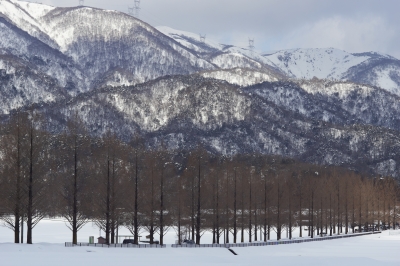 soku_10124.jpg :: NEX.7作例 風景 自然 雪景色 雪山 