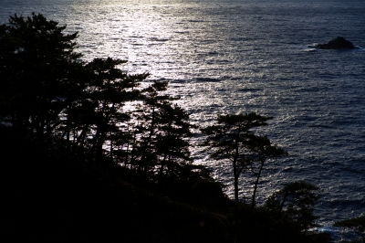 soku_10632.jpg :: 風景 自然 海 海岸 リアス式海岸 伊豆 