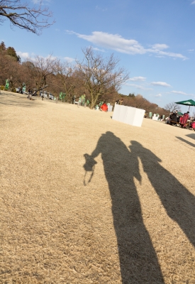 soku_10659.jpg :: 風景 街並み 公園 影 