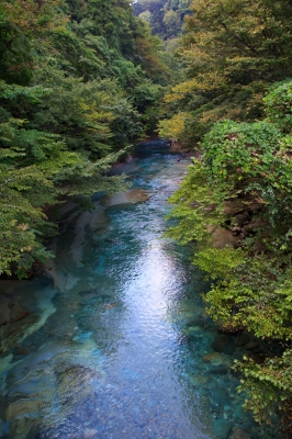 soku_10750.jpg :: 風景 自然 川 渓谷 透明 