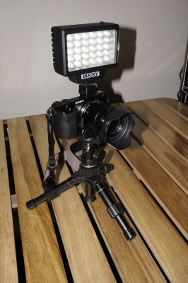 soku_11047.jpg :: カメラ機材 カメラ LEDライト 