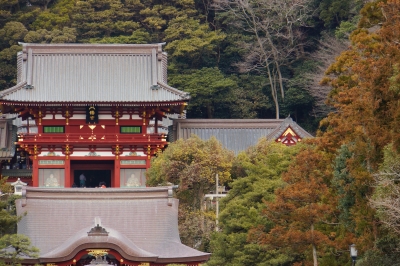 soku_11390.jpg :: 建築 建造物 神社仏閣 八幡宮 