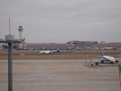 soku_11411.jpg :: 風景 自然 空 飛行機 空港 ANA B.787 