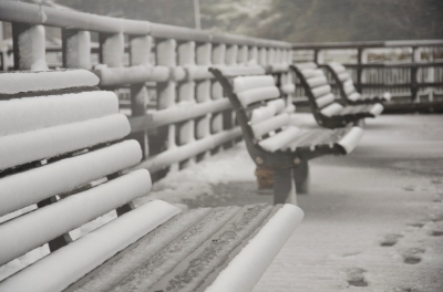 soku_11438.jpg :: 風景 自然 雪景色 公園 光が丘公園 