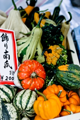 soku_11569.jpg :: 食べ物 食材 野菜 飾り南瓜 