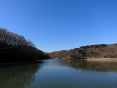 soku_11754.jpg :: PowerShotS95 風景 自然 水分 湖 八丁湖 
