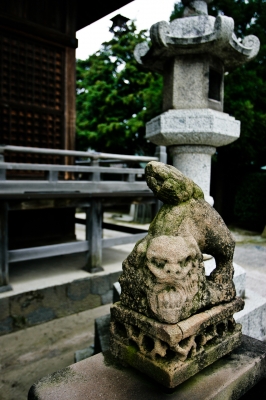 soku_11758.jpg :: 建築 建造物 神社 狛犬 