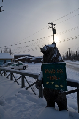 soku_12082.jpg :: 北米 熊 風景 自然 雪景色 
