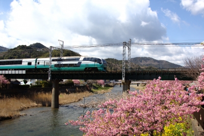 soku_12251.jpg :: 乗り物 交通 鉄道 電車 植物 花 梅 ウメ 鉄橋 