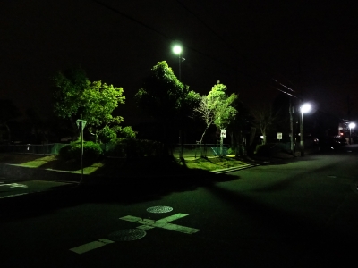 soku_12514.jpg :: 公園 夜景 