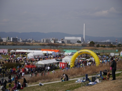 soku_12750.jpg :: 川 淀川 河原 淀川国際ハーフマラソン 