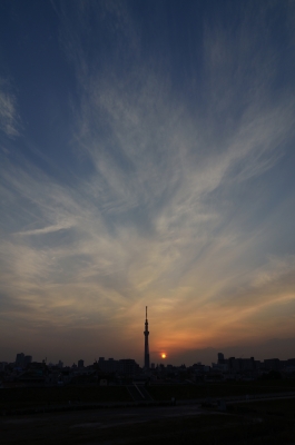 soku_12796.jpg :: 風景 自然 空 夕日 夕焼け 日没 建築 建造物 塔 タワー 東京スカイツリー 