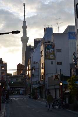 soku_12995.jpg :: 建築 建造物 塔 タワー 東京スカイツリー 