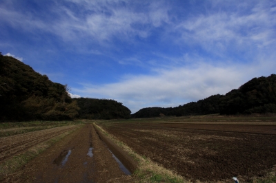 soku_13222.jpg :: 風景 自然 田畑 田園 