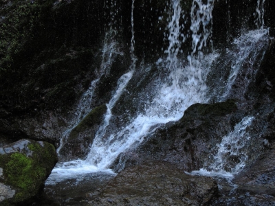soku_13792.jpg :: PowerShotS95 風景 自然 水分 滝 白水の滝 