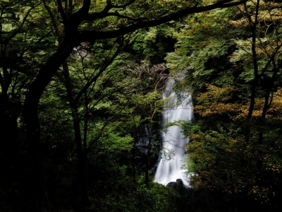 soku_13798.jpg :: PowerShotS95 風景 自然 水分 滝 小中大滝 