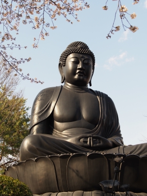 soku_13816.jpg :: 建築 建造物 神社仏閣 仏像 