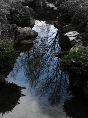 soku_13831.jpg :: PowerShotS95 風景 自然 水分 池 