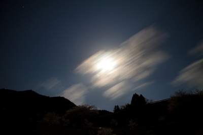 soku_13864.jpg :: 風景 夜景 月 雲 