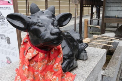 soku_13878.jpg :: 建築 建造物 神社 狛犬 牛 