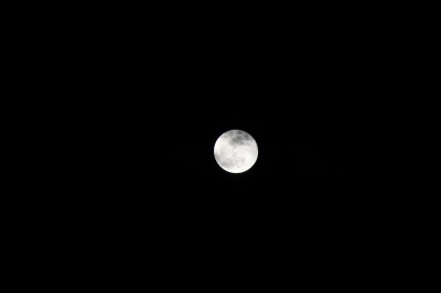 soku_13953.jpg :: 風景 自然 天体 月 満月 