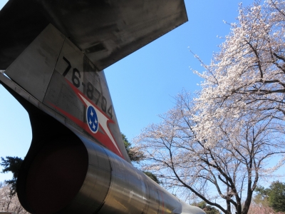 soku_14056.jpg :: PowerShotS95 風景 飛行機 植物 花 桜 サクラ 熊谷基地さくら祭 