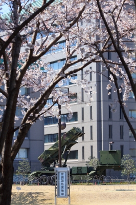 soku_14137.jpg :: 防衛省 市ケ谷 PAC3 ペトリオットミサイル 植物 花 桜 サクラ 