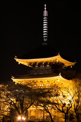 soku_14179.jpg :: 建築 建造物 神社仏閣 重塔 