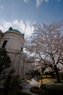 soku_14191.jpg :: 上野 東京国立博物館 桜 空 雲 (^_^) 