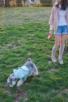 soku_14197.jpg :: 動物 哺乳類 犬 イヌ 屋外 散歩 (^_^) 