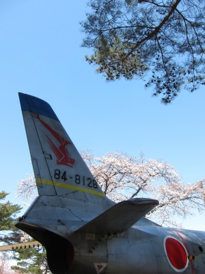 soku_14222.jpg :: PowerShotS95 風景 植物 花 桜 サクラ 飛行機 レタッチ前 