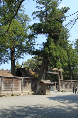 soku_14353.jpg :: 建築 建造物 神社 伊勢神宮 