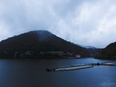 soku_14472.jpg :: PowerShotS95 風景 自然 水分 湖 雨 円楽田湖 