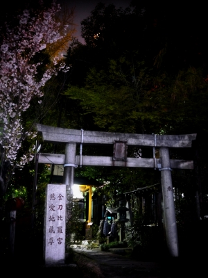 soku_14677.jpg :: 金刀比羅宮 夜景 