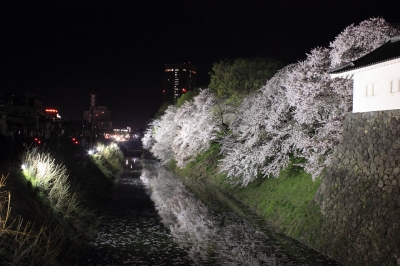 soku_15270.jpg :: 桜 夜景 川 