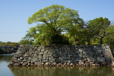soku_15292.jpg :: 建築 建造物 城 壁 石壁 石垣 