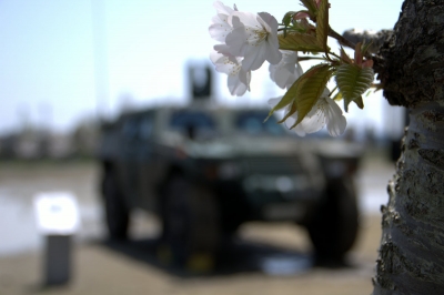 soku_15305.jpg :: 植物 花 桜 サクラ 陸上自衛隊 軽装甲機動車 