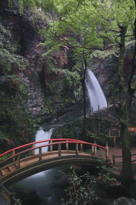 soku_15579.jpg :: 風景 自然 滝 