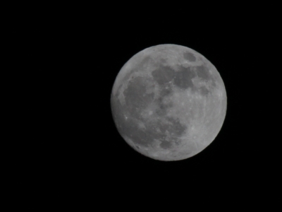 soku_15681.jpg :: 風景 自然 天体 月 満月 スーパームーン 