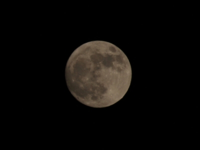 soku_15683.jpg :: 風景 自然 天体 月 満月 スーパームーン 