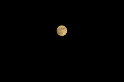 soku_15747.jpg :: NEX+200mm 風景 自然 天体 月 満月 スーパームーン 