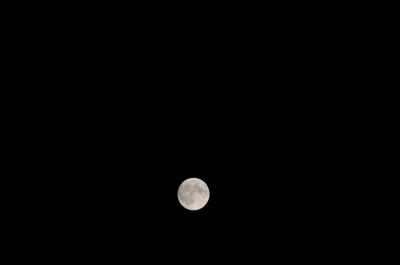 soku_15748.jpg :: D300+200mm 風景 自然 天体 月 満月 スーパームーン 