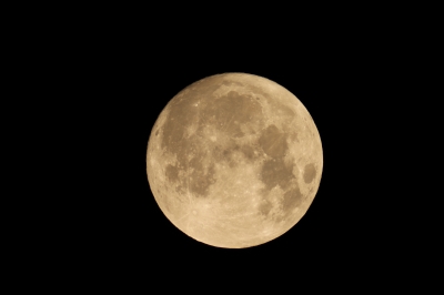 soku_15777.jpg :: 今宵の月 月 天体 自然 