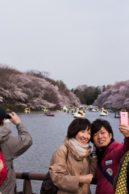 soku_15799.jpg :: 花見 風景 井の頭公園 桜 サクラ (^_^) 