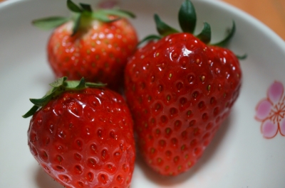 soku_15854.jpg :: 食べ物 果物 いちご 苺 