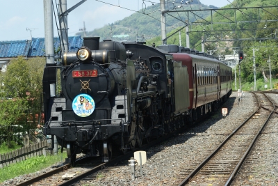 soku_15952.jpg :: 乗り物 交通 鉄道 蒸気機関車 秩父鉄道 パレオエクスプレス C58 