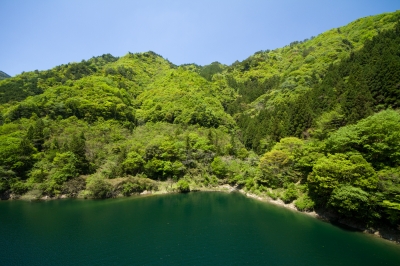 soku_15993.jpg :: 風景 自然 湖 早明浦ダム湖 