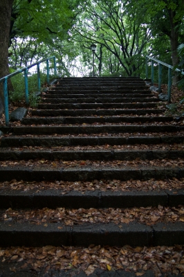soku_16209.jpg :: 公園 上野恩賜公園 階段 