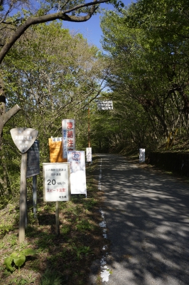 soku_16288.jpg :: 風景 道路 標識 警告 危険地帯 