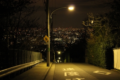 soku_16337.jpg :: 風景 街並み 都市の風景 夜景 